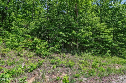 Tiny photo for Junaluska Hwy, Jamestown, TN 38556 (MLS # 1340366)
