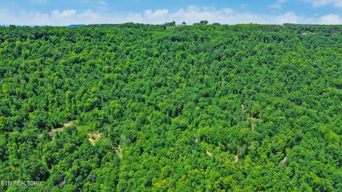 Tiny photo for Junaluska Hwy, Jamestown, TN 38556 (MLS # 1340366)