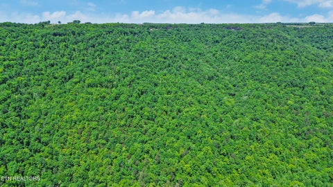 Tiny photo for Junaluska Hwy, Jamestown, TN 38556 (MLS # 1340366)