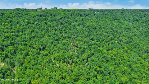 Tiny photo for Junaluska Hwy, Jamestown, TN 38556 (MLS # 1340366)