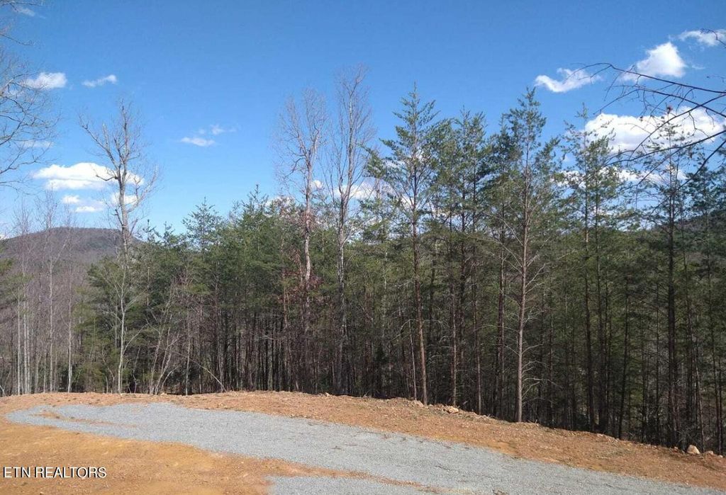 Photo of 272 Reliance Rd, Tellico Plains, TN 37385 (MLS # 1255506)