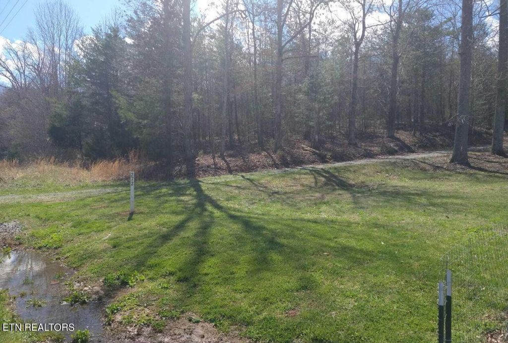 Photo of 272 Reliance Rd, Tellico Plains, TN 37385 (MLS # 1255506)