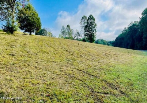 Tiny photo for 156 Enclave Way, Kingston, TN 37763 (MLS # 1356130)