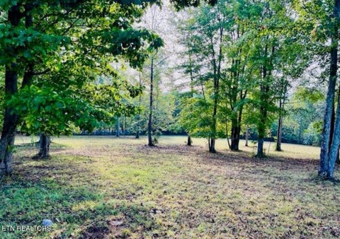 Tiny photo for 156 Enclave Way, Kingston, TN 37763 (MLS # 1356130)