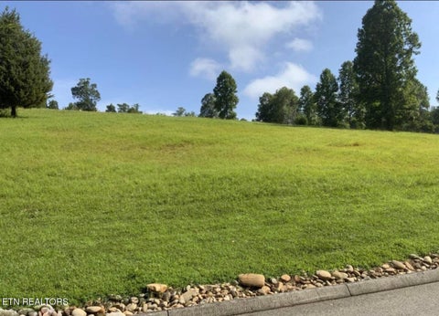Tiny photo for 156 Enclave Way, Kingston, TN 37763 (MLS # 1356130)