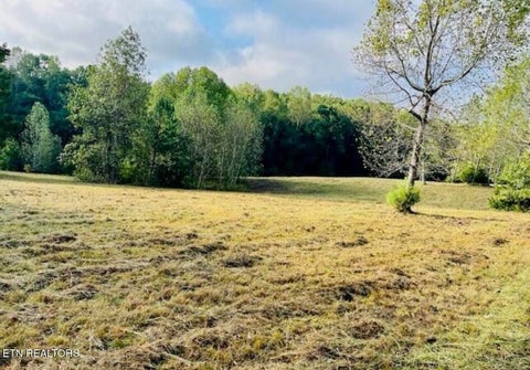 Tiny photo for 156 Enclave Way, Kingston, TN 37763 (MLS # 1356130)