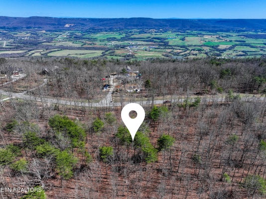 GRAY ST, GRAYSVILLE, TN 37338 - Image ec7fd0cb8ad8a539bc54eb88453dee6b/3303593878