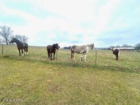 Tiny photo for 640 Illinois Ave, Dayton, TN 37321 (MLS # 1332602)