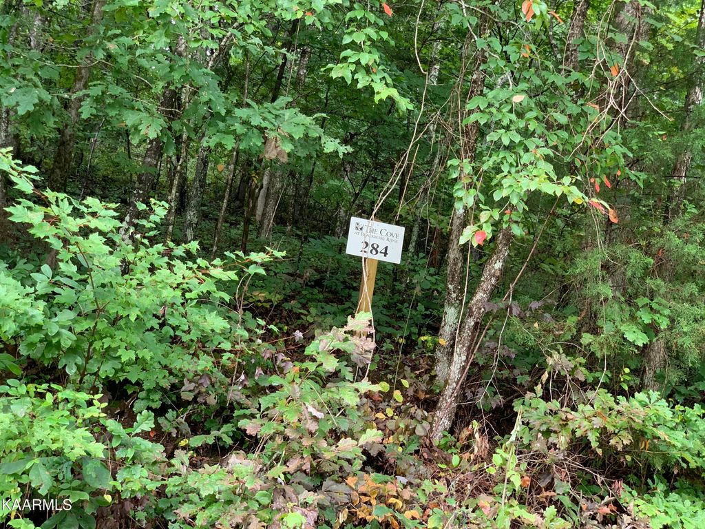 Photo of 4507 Huffine Rd, Loudon, TN 37774 (MLS # 1332000)