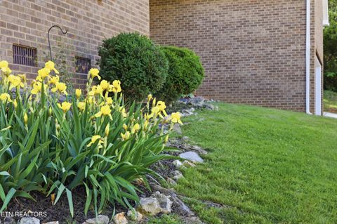 Tiny photo for 8429 Wade Crest Lane, Powell, TN 37849 (MLS # 1338653)