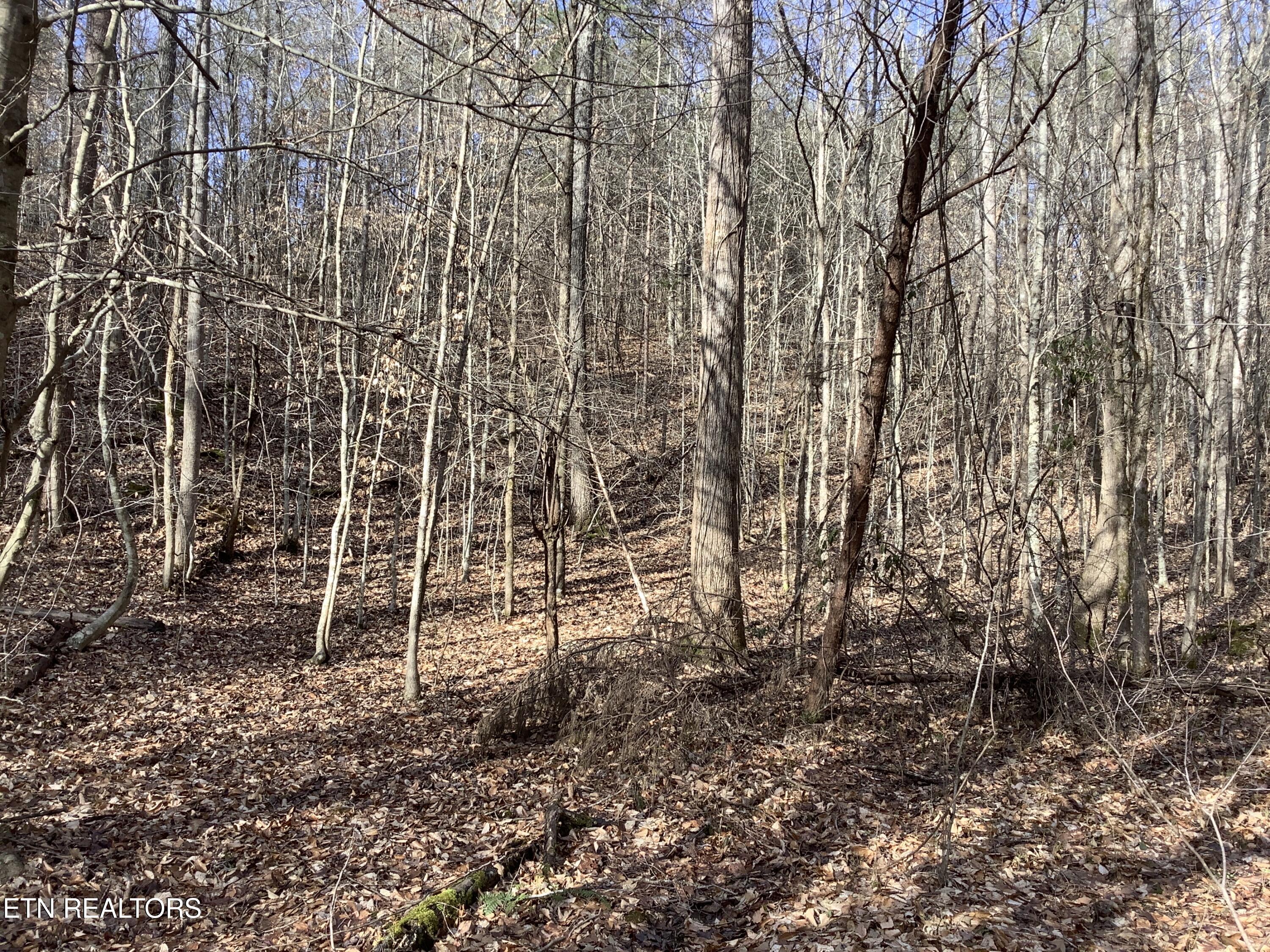 Blockhouse Rd