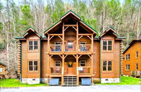 311 Caney Creek Rd Pigeon Forge TN 37863