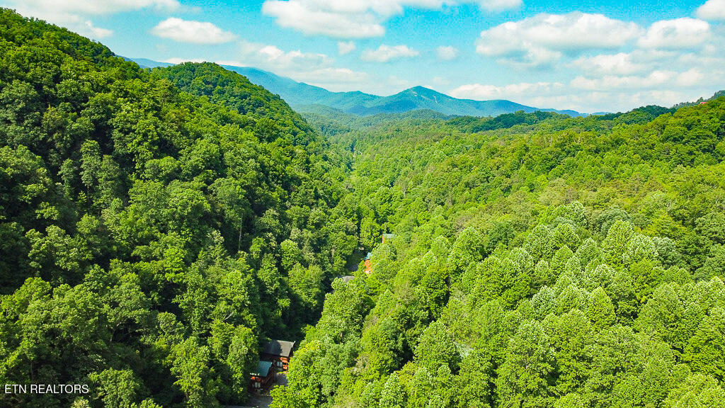 311 Caney Creek Rd