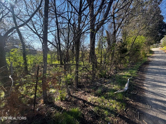 KIRKHAM RD, BEAN STATION, TN 37708 - Image ec9685982dd2ffe905da83ff01c26645/447545916