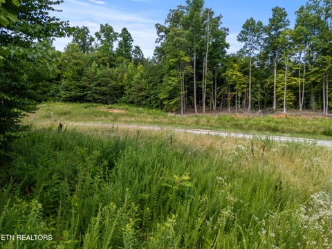 Tiny photo for 113 Cherry Oak Drive, Oak Ridge, TN 37830 (MLS # 1346484)