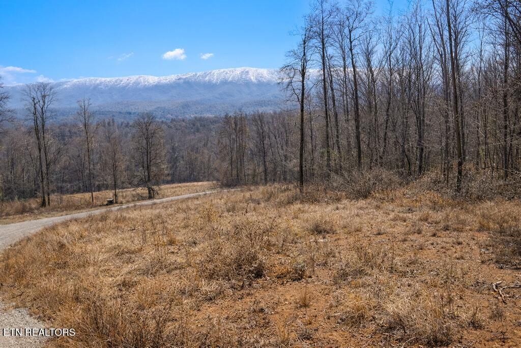 Photo of 3419 Boone Docks Way, Maryville, TN 37803 (MLS # 1326737)