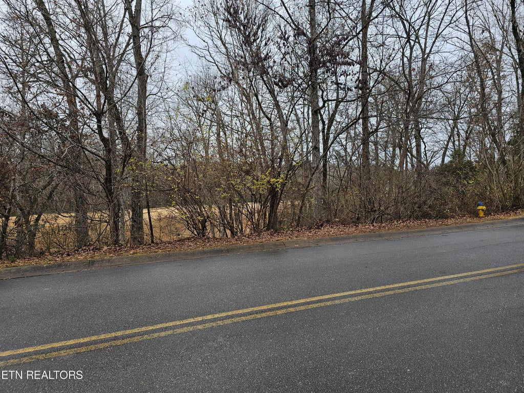 Photo of 0 Lot 64 Gettysvue Drive, Knoxville, TN 37922 (MLS # 1248219)