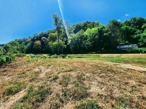 Tiny photo for 115107 Riggs Chapel Rd, Harriman, TN 37748 (MLS # 1328153)