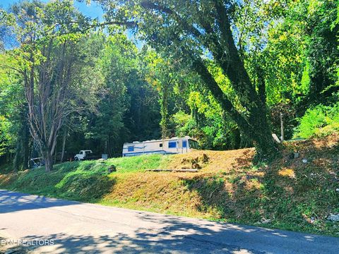 Tiny photo for 115107 Riggs Chapel Rd, Harriman, TN 37748 (MLS # 1328153)