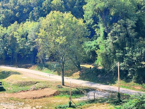 Tiny photo for 115107 Riggs Chapel Rd, Harriman, TN 37748 (MLS # 1328153)