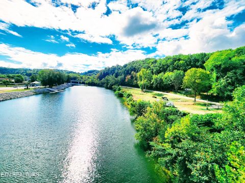 Tiny photo for 115107 Riggs Chapel Rd, Harriman, TN 37748 (MLS # 1328153)