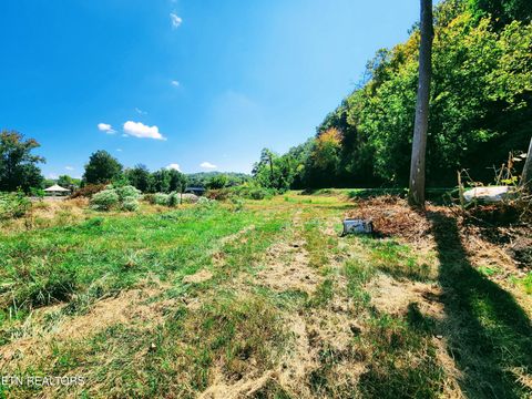 Tiny photo for 115107 Riggs Chapel Rd, Harriman, TN 37748 (MLS # 1328153)