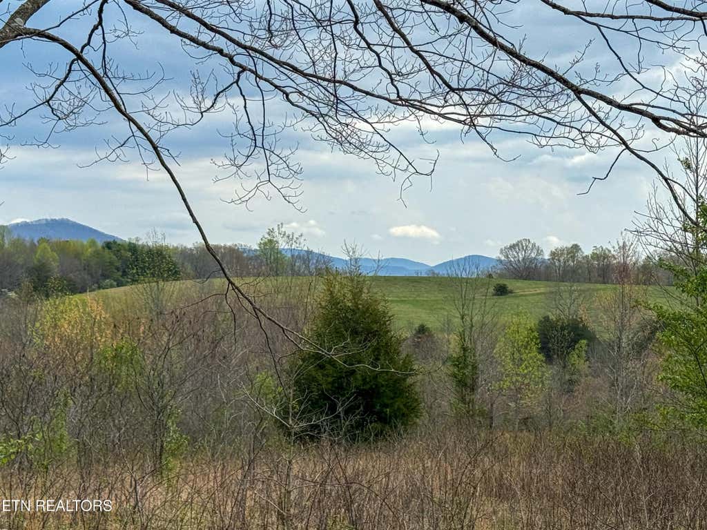 Photo of 785 Pilot Mountain Rd, Sunbright, TN 37872 (MLS # 1296949)