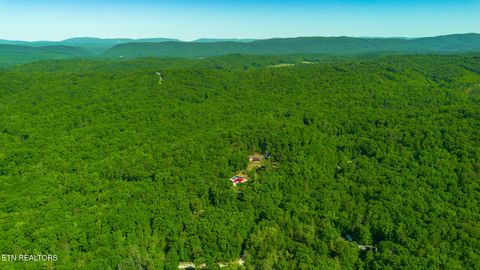 Tiny photo for 1705 Eagle Furnace Rd, Rockwood, TN 37854 (MLS # 1340637)