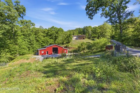 Tiny photo for 1705 Eagle Furnace Rd, Rockwood, TN 37854 (MLS # 1340637)