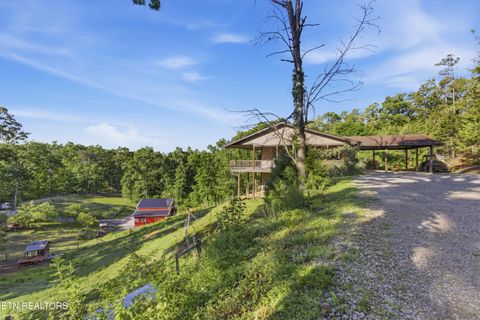 Tiny photo for 1705 Eagle Furnace Rd, Rockwood, TN 37854 (MLS # 1340637)