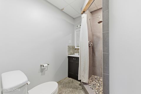 Tiny photo for 1705 Eagle Furnace Rd, Rockwood, TN 37854 (MLS # 1340637)