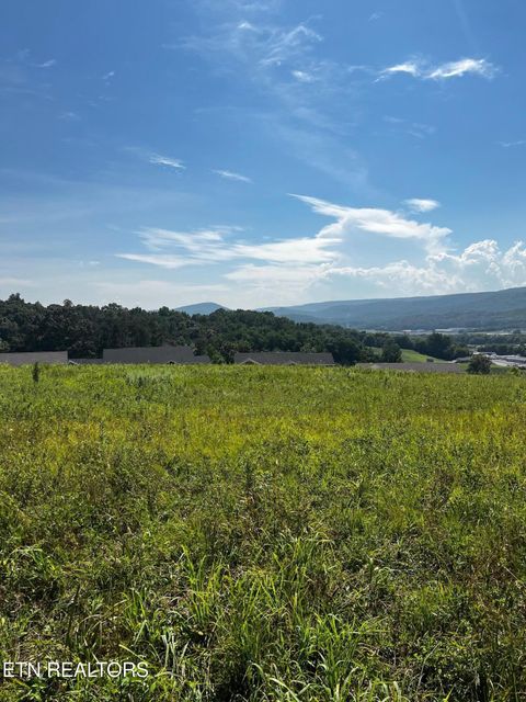 Tiny photo for 00 White Oak Rd, Dayton, TN 37321 (MLS # 1337288)