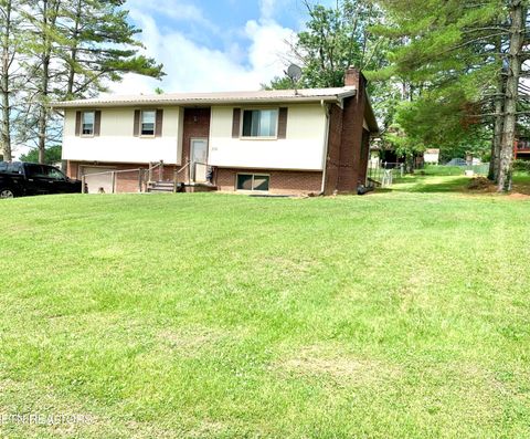 Photo of 309 Allison St, New Tazewell, TN 37825 (MLS # 1346824)