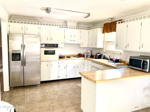Tiny photo for 309 Allison St, New Tazewell, TN 37825 (MLS # 1346824)