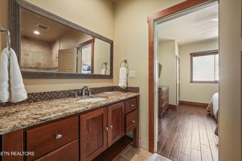 Tiny photo for 430 Sugar Cove Way, Newport, TN 37821 (MLS # 1344020)