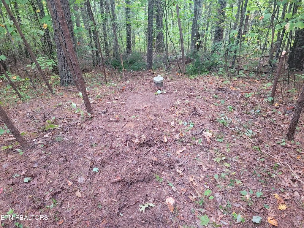 Photo of 210 Fence Rail Gap Rd, Walland, TN 37886 (MLS # 1277198)