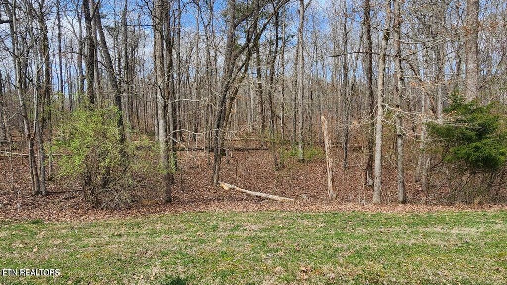 Photo of 210 E Shore Drive, Rockwood, TN 37854 (MLS # 1307416)