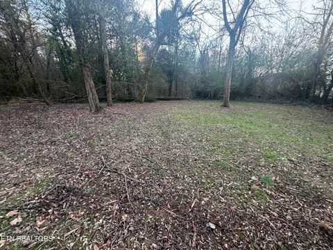 Tiny photo for 1110 E Hendron Chapel Rd, Knoxville, TN 37920 (MLS # 1324155)