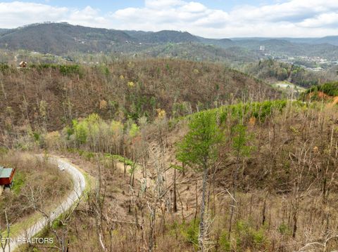 Tiny photo for Long Branch Rd, Gatlinburg, TN 37738 (MLS # 1297949)