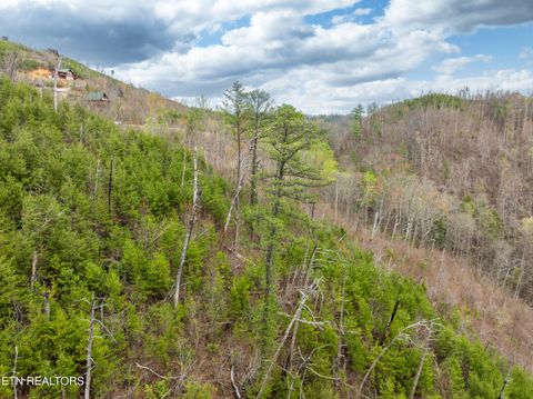 Tiny photo for Long Branch Rd, Gatlinburg, TN 37738 (MLS # 1297949)