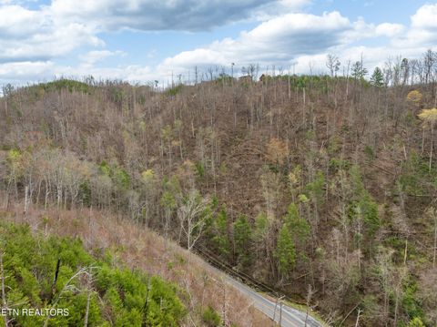 Tiny photo for Long Branch Rd, Gatlinburg, TN 37738 (MLS # 1297949)