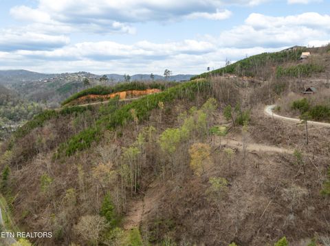 Tiny photo for Long Branch Rd, Gatlinburg, TN 37738 (MLS # 1297949)