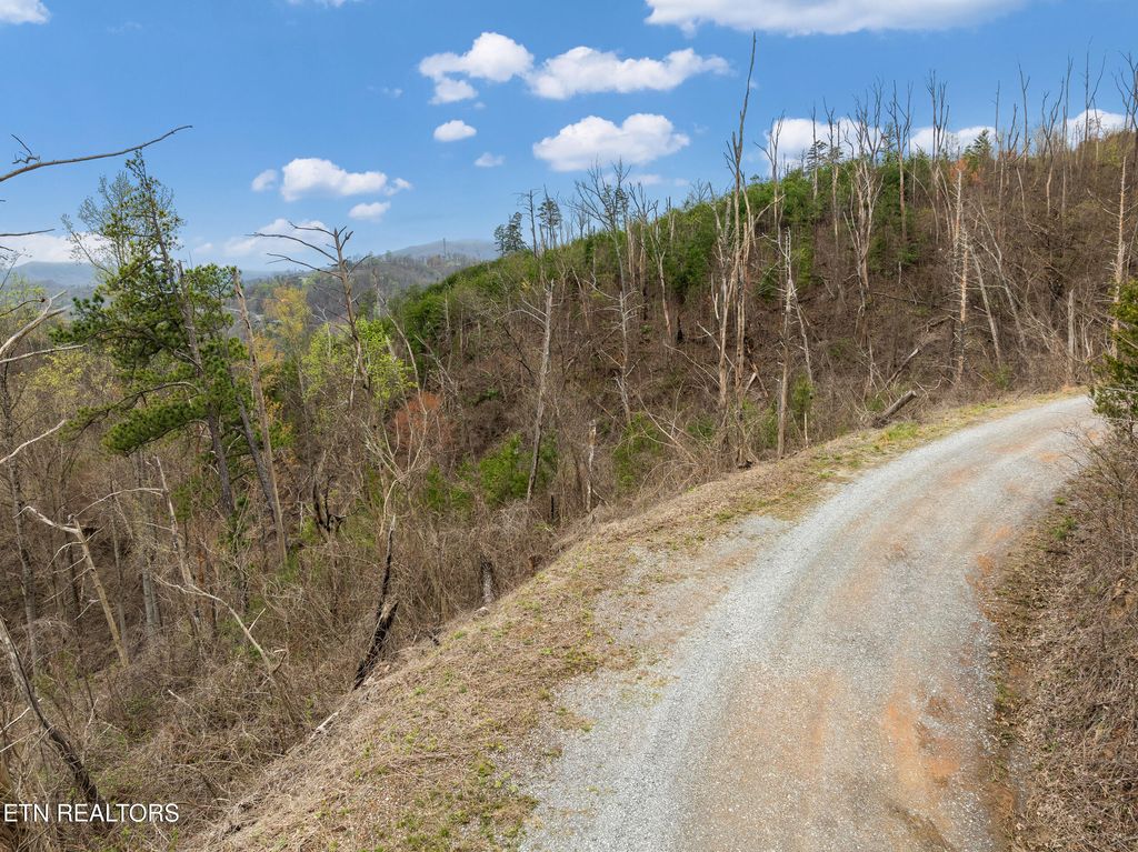 Photo of Long Branch Rd, Gatlinburg, TN 37738 (MLS # 1297949)