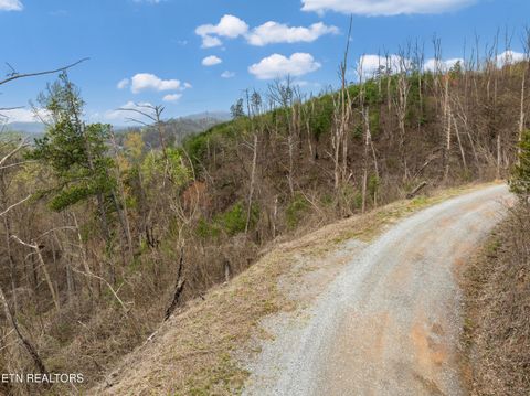 Tiny photo for Long Branch Rd, Gatlinburg, TN 37738 (MLS # 1297949)