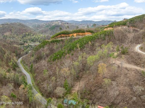 Tiny photo for Long Branch Rd, Gatlinburg, TN 37738 (MLS # 1297949)