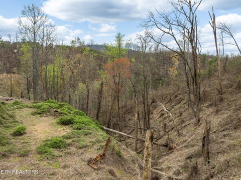 Tiny photo for Long Branch Rd, Gatlinburg, TN 37738 (MLS # 1297949)