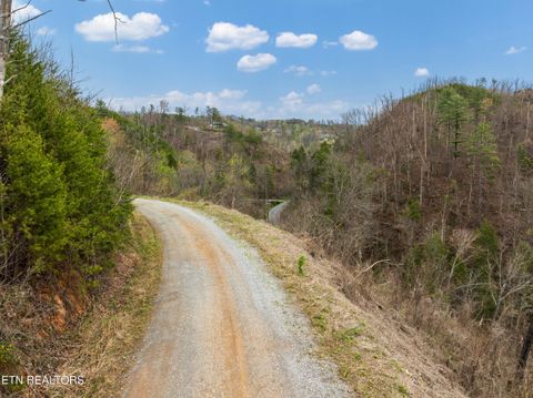 Tiny photo for Long Branch Rd, Gatlinburg, TN 37738 (MLS # 1297949)