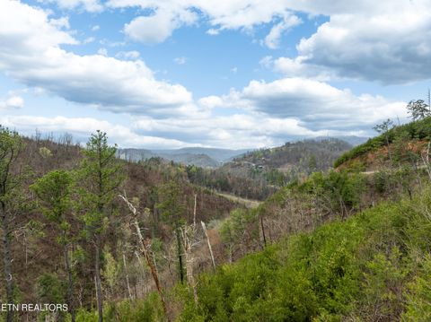 Tiny photo for Long Branch Rd, Gatlinburg, TN 37738 (MLS # 1297949)