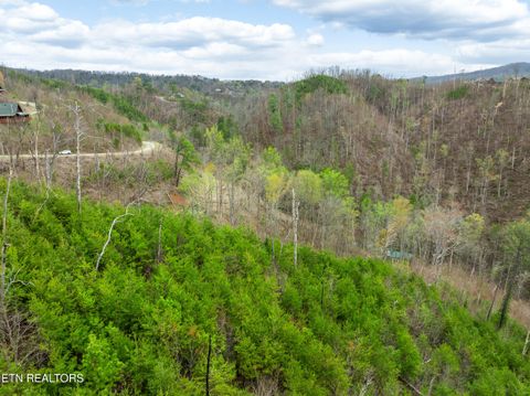 Tiny photo for Long Branch Rd, Gatlinburg, TN 37738 (MLS # 1297949)