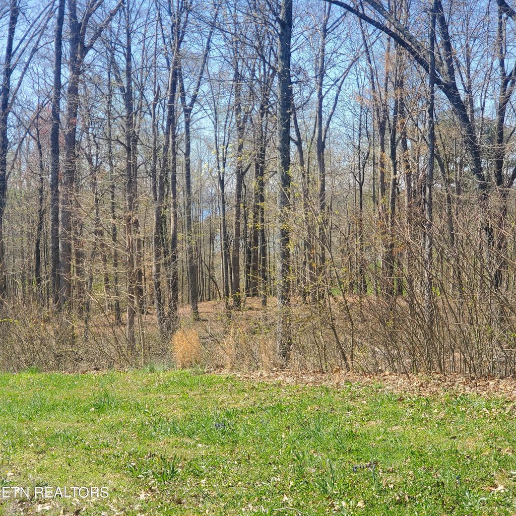 Photo of 136 Tumbleweed Tr, Rutledge, TN 37861 (MLS # 1333201)